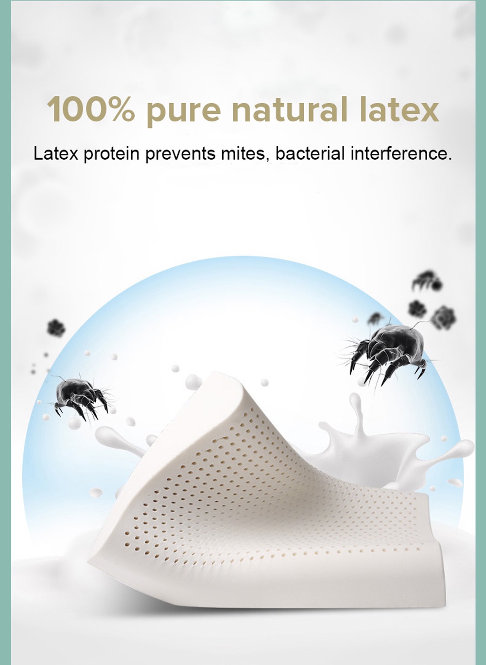 Softie Latex Pillow High 100_ Thai-8-1